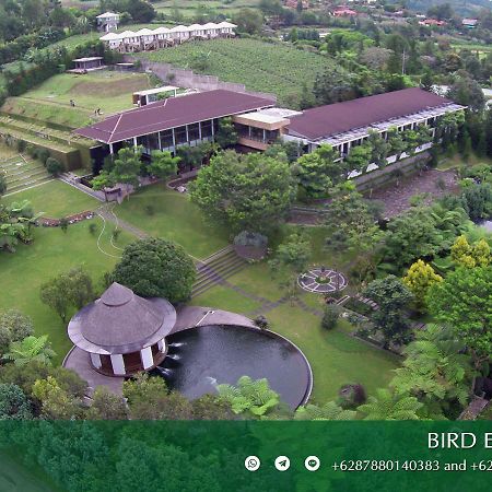 Amaryllis Boutique Resort Paragajen ภายนอก รูปภาพ