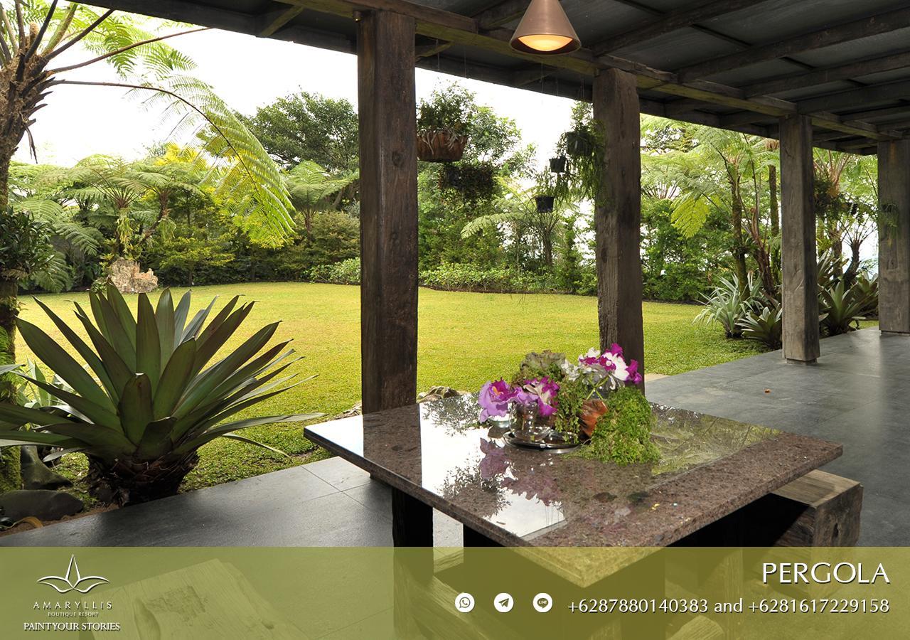 Amaryllis Boutique Resort Paragajen ภายนอก รูปภาพ