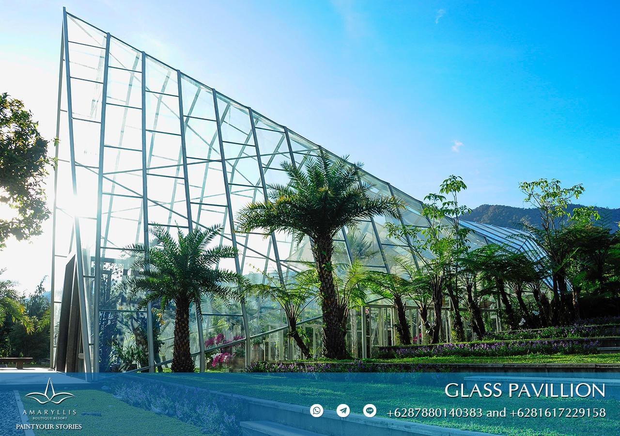 Amaryllis Boutique Resort Paragajen ภายนอก รูปภาพ