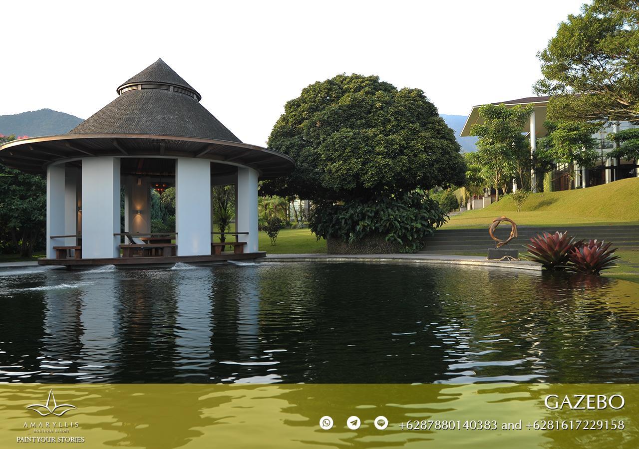 Amaryllis Boutique Resort Paragajen ภายนอก รูปภาพ